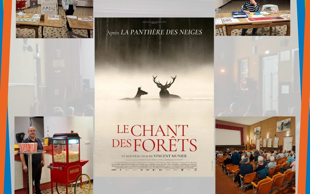 Cinéma à l’ÉcoCentre : Grand succès pour la première séance inaugurale !